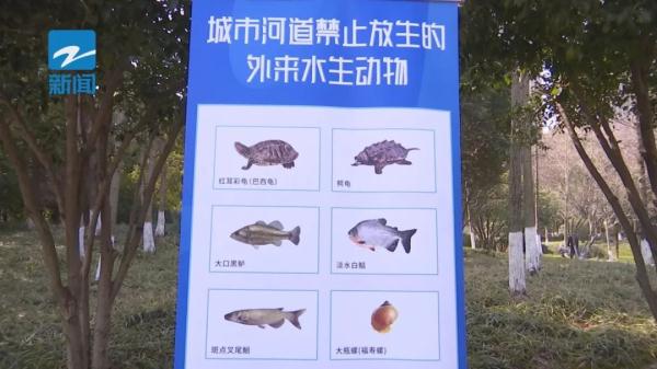 杭州：家门口的河道，这些行为禁止！