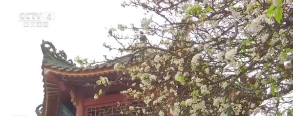 韧性强、潜力大、活力足 中国经济发展脉动愈发强劲有力