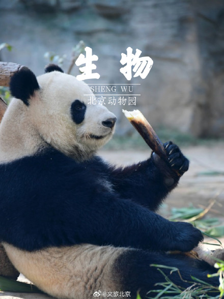 在北京,一不小心拍到了十门科目“课本封面”! 在北京,一不小心拍到了十门科目“课本封面”!