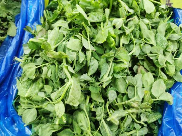 南京春菜上市啦！