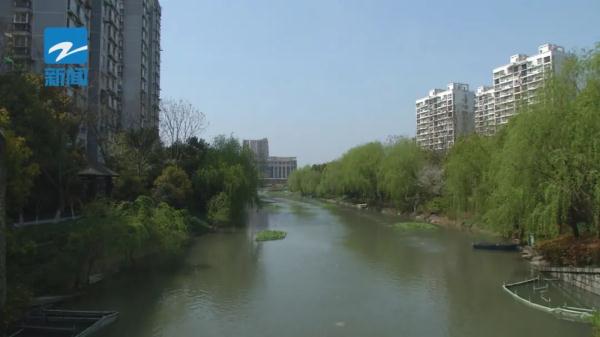 杭州：家门口的河道，这些行为禁止！