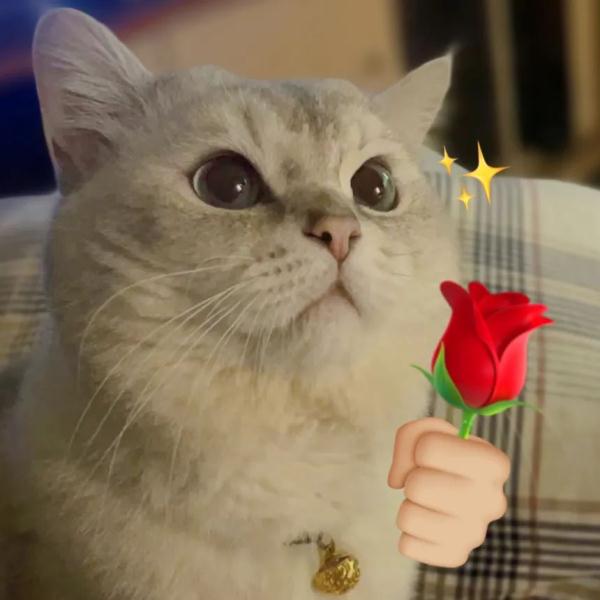 直达皇岗口岸!这条城际铁路最新进展来了! 直达皇岗口岸!这条城际铁路最新进展来了!