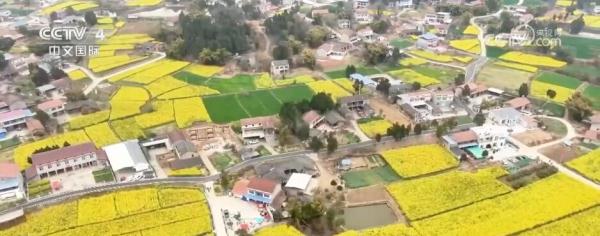 韧性强、潜力大、活力足 中国经济发展脉动愈发强劲有力