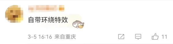 鸽子还会等红绿灯？河北男子骑摩托遛鸽子，惊呆路人！