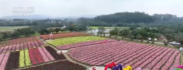 韧性强、潜力大、活力足 中国经济发展脉动愈发强劲有力