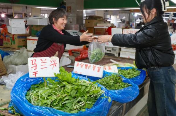 南京春菜上市啦！