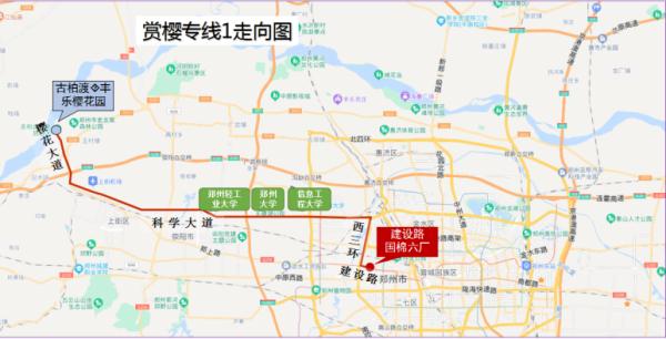 郑州第一批樱花开了！明起可坐这3条专线直达→