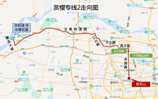 郑州第一批樱花开了！明起可坐这3条专线直达→