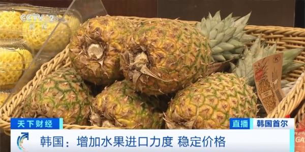 1个苹果15元！韩国水果价格刷新32年来单月最高涨幅