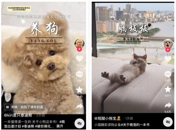 一不小心拍到的“课本封面”，第一张就惊艳到了！