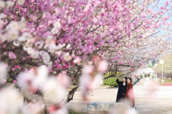 女性免门票、同行男性半价，河南多景区宣布→