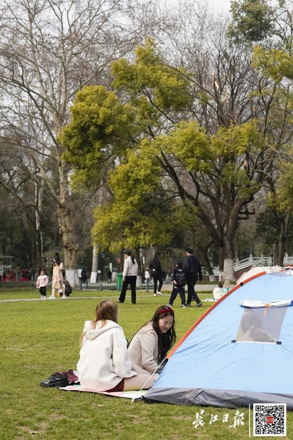 这一幕刷屏了！今天武汉人都在发朋友圈……