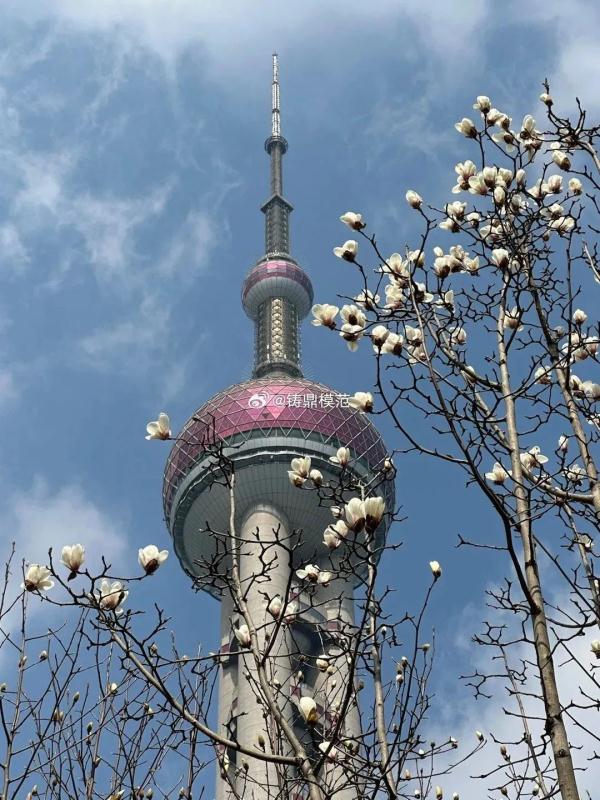 最高温冲击18℃，上海下周有望入春！