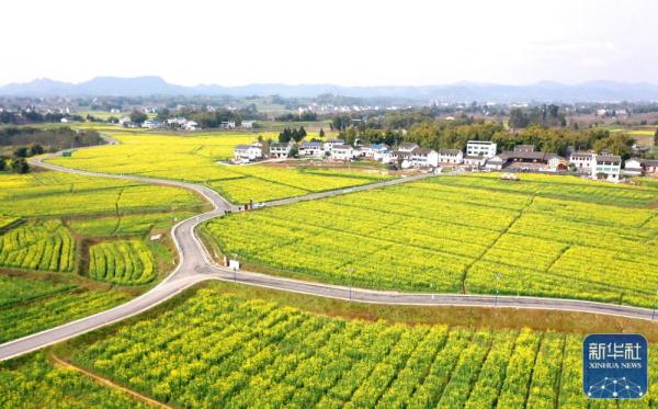 早春时节,多地春意盎然,景色宜人 早春时节,多地春意盎然,景色宜人