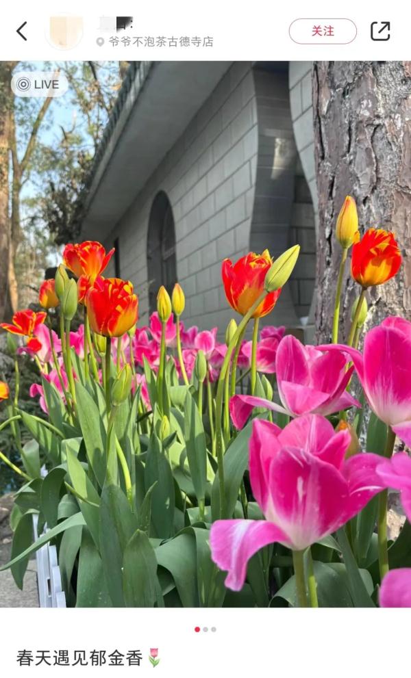 这一幕刷屏了！今天武汉人都在发朋友圈……