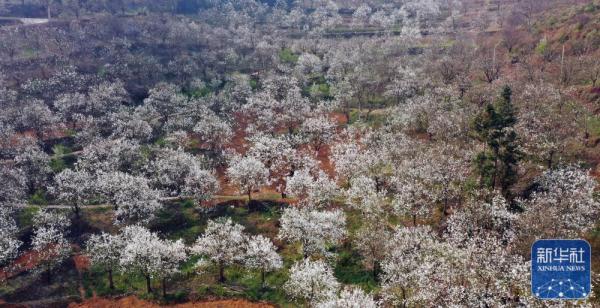 早春时节,多地春意盎然,景色宜人 早春时节,多地春意盎然,景色宜人