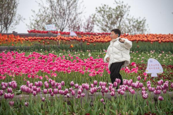 重庆大渡口——城乡融合为老工业基地转型注入新动能