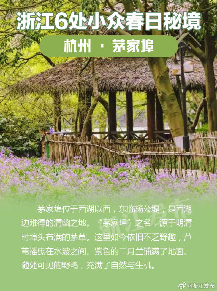浙江6处小众春日秘境,超适合踏青吸氧 浙江6处小众春日秘境,超适合踏青吸氧