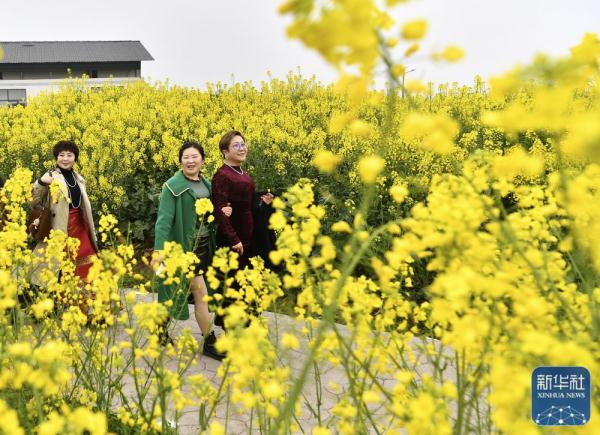 早春时节,多地春意盎然,景色宜人 早春时节,多地春意盎然,景色宜人