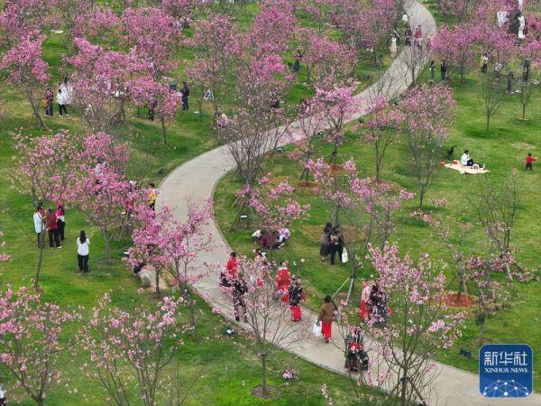 早春时节,多地春意盎然,景色宜人 早春时节,多地春意盎然,景色宜人