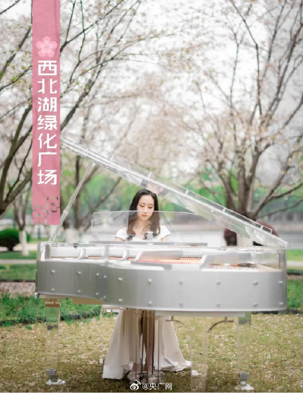 武汉十大赏樱地发布 武汉十大赏樱地发布