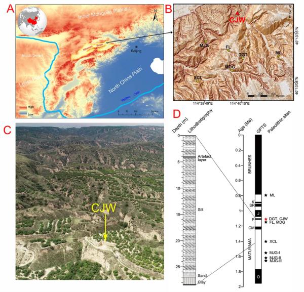 泥河湾发现110万年前古人类石器技术已具较高水平
