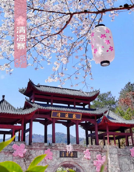 武汉十大赏樱地发布 武汉十大赏樱地发布