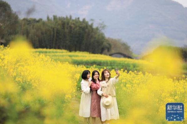 早春时节,多地春意盎然,景色宜人 早春时节,多地春意盎然,景色宜人