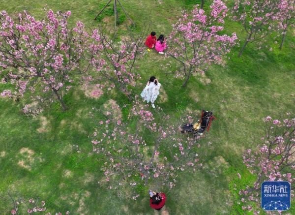 早春时节,多地春意盎然,景色宜人 早春时节,多地春意盎然,景色宜人