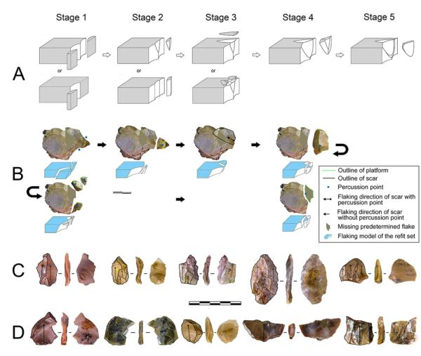 泥河湾发现110万年前古人类石器技术已具较高水平