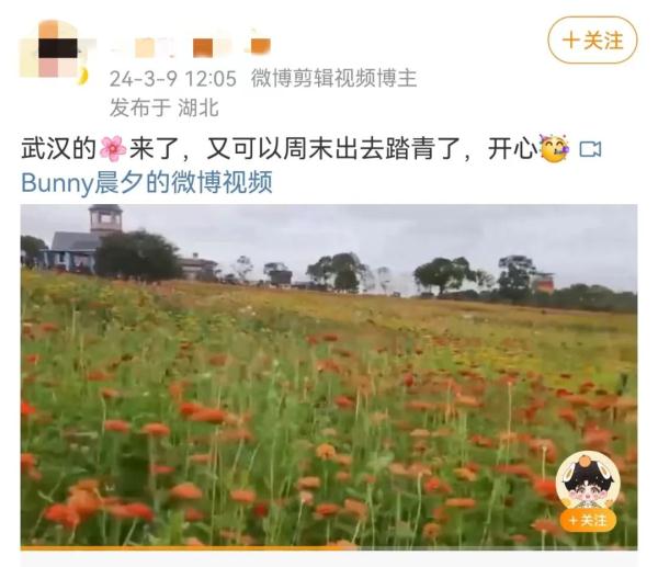 这一幕刷屏了！今天武汉人都在发朋友圈……