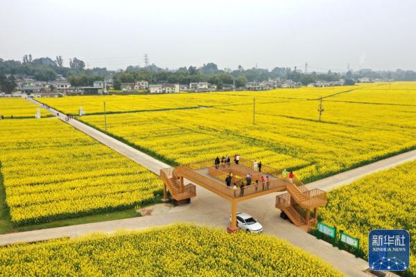早春时节,多地春意盎然,景色宜人 早春时节,多地春意盎然,景色宜人