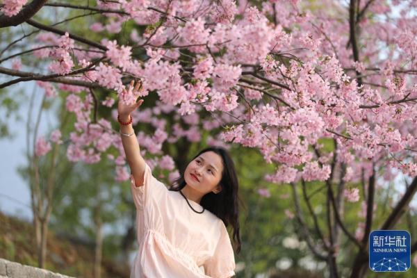 早春时节,多地春意盎然,景色宜人 早春时节,多地春意盎然,景色宜人