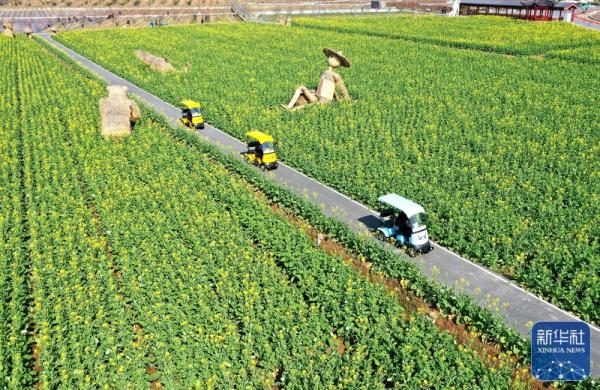 早春时节,多地春意盎然,景色宜人 早春时节,多地春意盎然,景色宜人