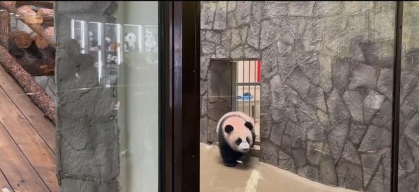 “喀秋莎”，露面了！