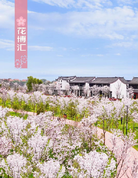 武汉十大赏樱地发布 武汉十大赏樱地发布