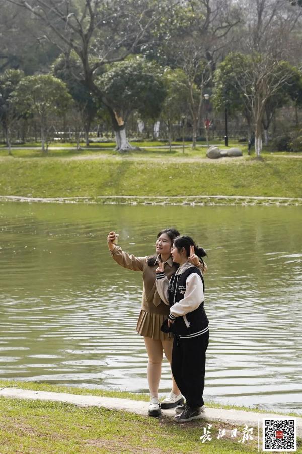 这一幕刷屏了！今天武汉人都在发朋友圈……