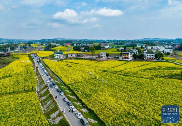 早春时节,多地春意盎然,景色宜人 早春时节,多地春意盎然,景色宜人