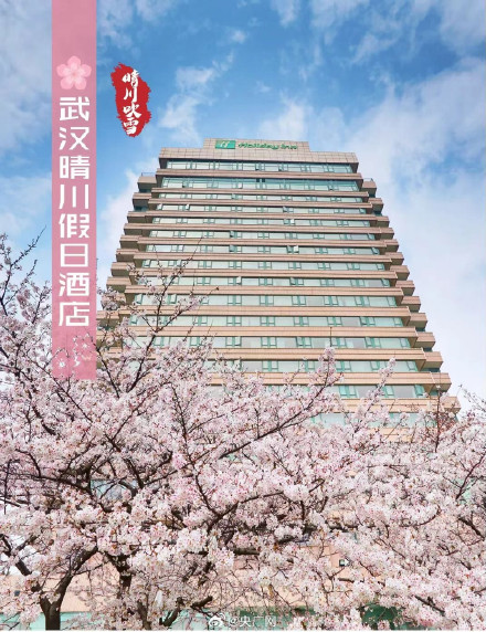 武汉十大赏樱地发布 武汉十大赏樱地发布