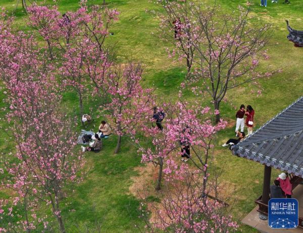 早春时节,多地春意盎然,景色宜人 早春时节,多地春意盎然,景色宜人