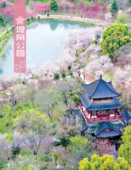 武汉十大赏樱地发布 武汉十大赏樱地发布