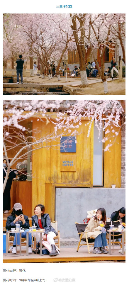 “光速入春”？北京火箭式升温，最高19℃！这些地方将开花——