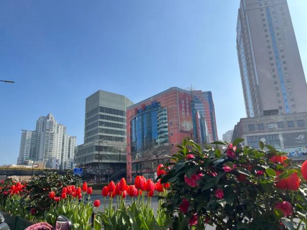 才见阳光没多久,上海今夜再迎雨水!周一上班受影响吗?何时入春?关键看这一天→ 才见阳光没多久,上海今夜再迎雨水!周一上班受影响吗?何时入春?关键看这一天→