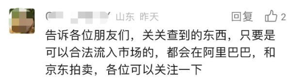 “1人带316个LV包入境”，被查！海关罚没物品都去哪了？