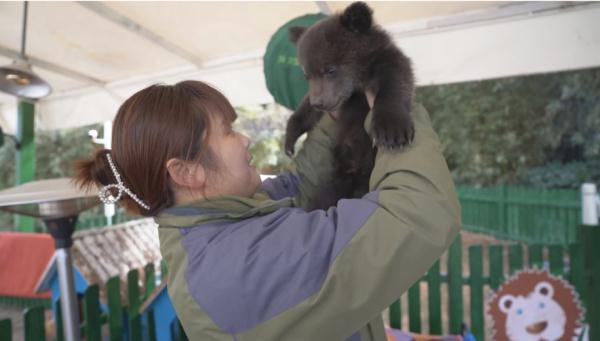 “带薪撸小老虎”?网友想替她上班 “带薪撸小老虎”?网友想替她上班