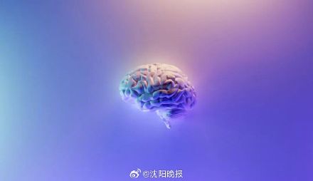 泪失禁体质可能是大脑太发达 泪失禁体质可能是大脑太发达