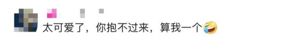 “带薪撸小老虎”?网友想替她上班 “带薪撸小老虎”?网友想替她上班