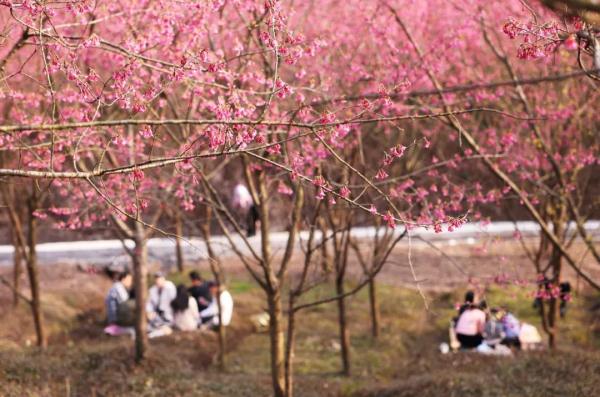 浙江多地官宣：明天入春！阳光余额不足，大转折就在今夜→