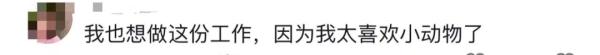 “带薪撸小老虎”?网友想替她上班 “带薪撸小老虎”?网友想替她上班