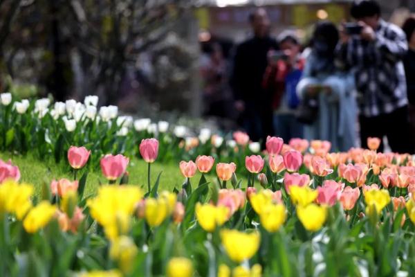 浙江多地官宣：明天入春！阳光余额不足，大转折就在今夜→